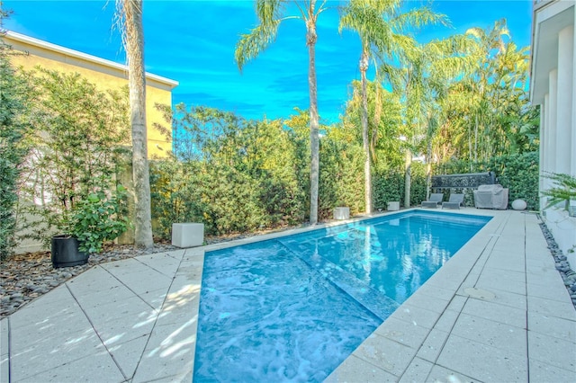 view of pool with a patio area