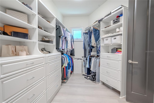 view of spacious closet