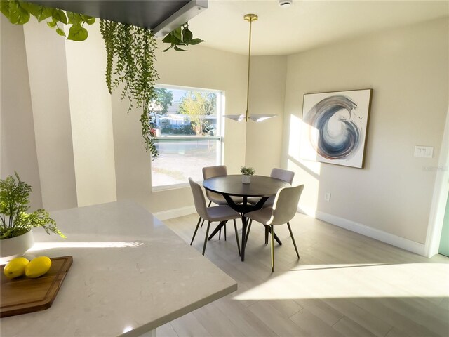 dining area with light hardwood / wood-style floors