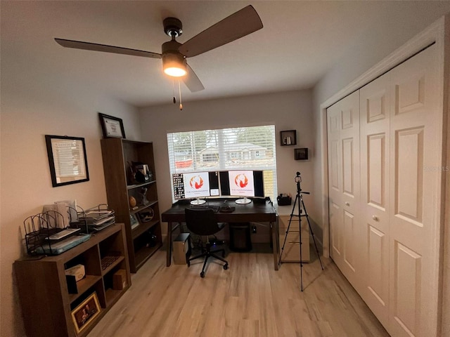 office space featuring light hardwood / wood-style floors and ceiling fan