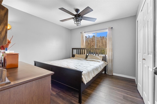 18127 Sandy Pointe Dr, Tampa, FL 33647 - bedroom with a closet, baseboards, dark wood-style floors, and ceiling fan