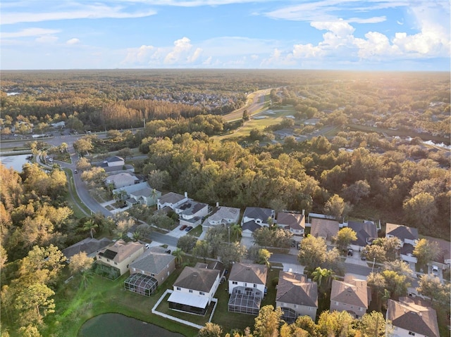 18127 Sandy Pointe Dr, Tampa, FL 33647 - aerial view of residential area with a forest and a large body of water