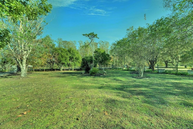 5201 Pless Rd, Plant City, FL 33565 - photo 10