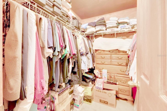 view of spacious closet