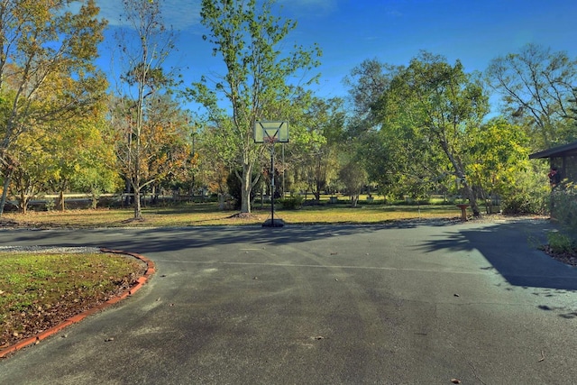 5201 Pless Rd, Plant City, FL 33565 - photo 29