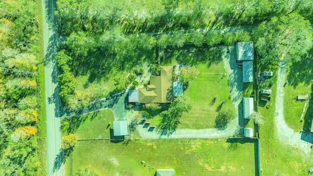 5201 Pless Rd, Plant City, FL 33565 - photo 36