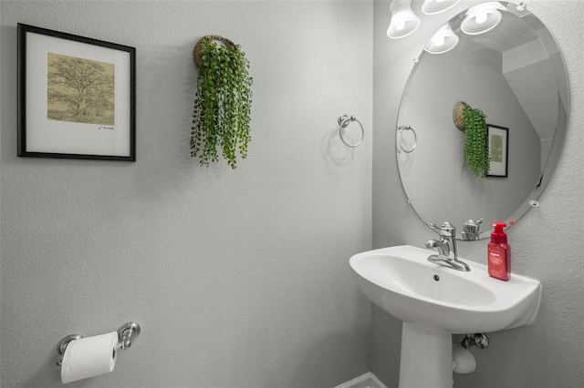 10334 Estero Bay Ln, Tampa, FL 33625 - view of bathroom