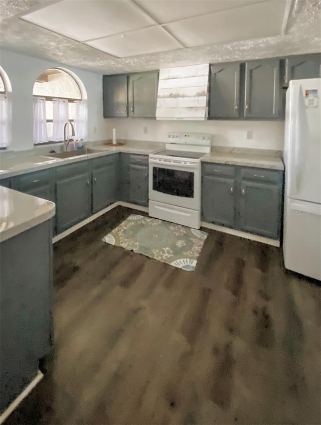 9107 Lingrove Rd, Weeki Wachee, FL 34613 - kitchen featuring a sink, white appliances, dark wood-type flooring, light countertops, and gray cabinetry