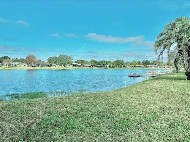 9107 Lingrove Rd, Weeki Wachee, FL 34613 - property view of water