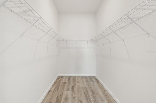 walk in closet with light hardwood / wood-style floors