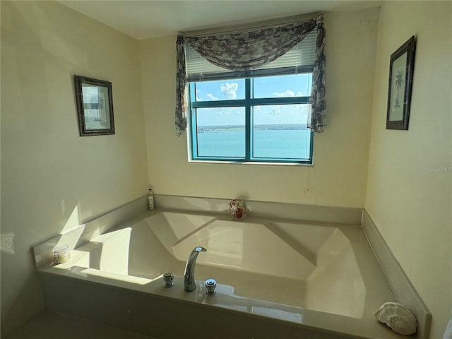 bathroom featuring a washtub