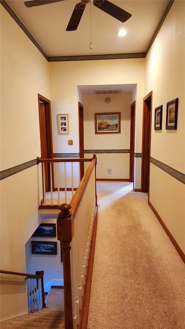 corridor with crown molding and carpet