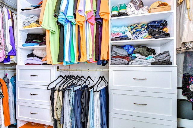 view of walk in closet