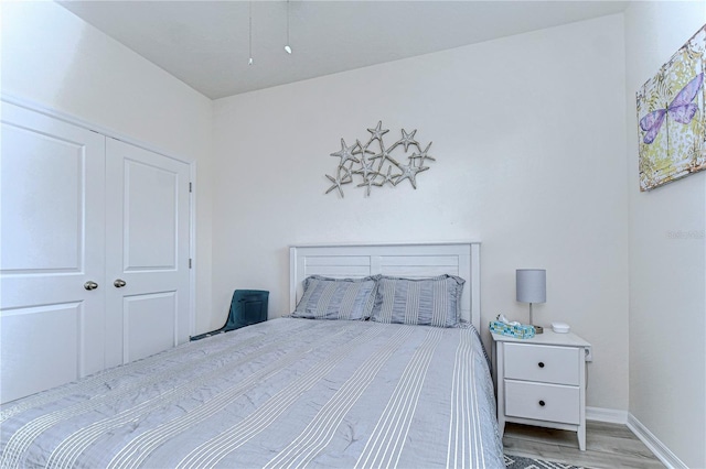 bedroom featuring a closet and wood-type flooring