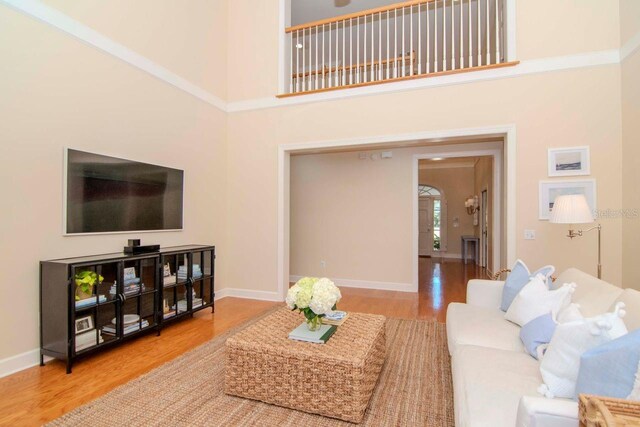 living room with a high ceiling and hardwood / wood-style flooring