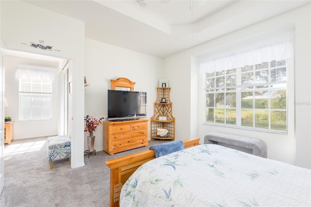 carpeted bedroom featuring a tray ceiling