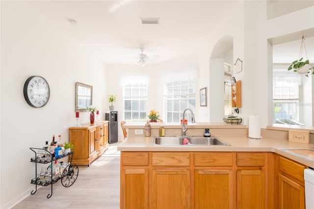 kitchen with ceiling fan, sink, dishwasher, and light hardwood / wood-style floors