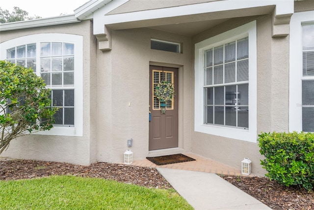 5733 Heronpark Pl, Lithia, FL 33547 - view of exterior entry with stucco siding