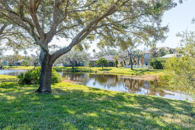 5733 Heronpark Pl, Lithia, FL 33547 - water view