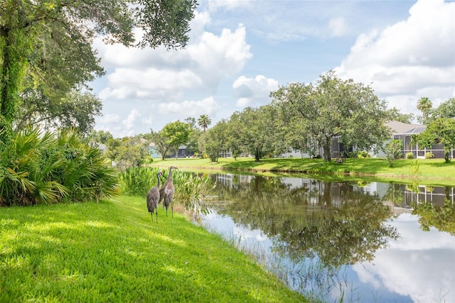 5733 Heronpark Pl, Lithia, FL 33547 - water view