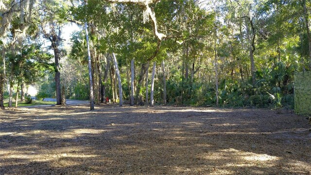 4367 S Conwell Pt, Homosassa, FL 34448 - photo 1