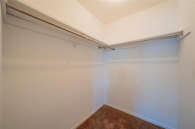 walk in closet featuring carpet floors