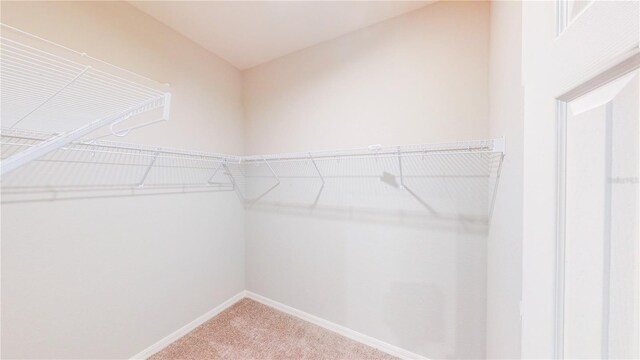 6855 Mossy Oak Ln, Lakeland, FL 33810 - photo 14