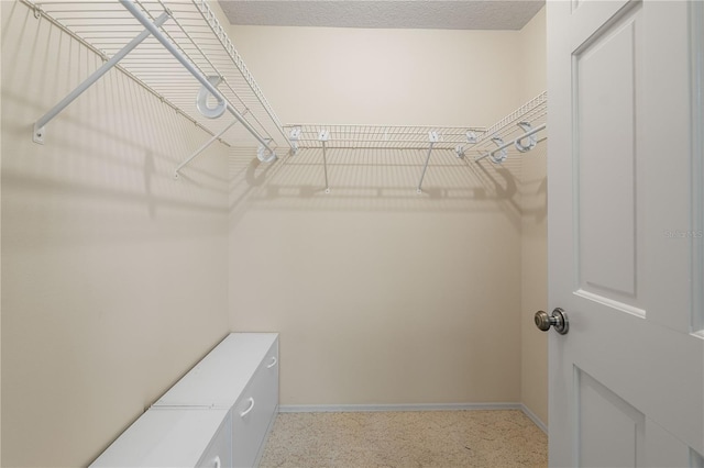 view of walk in closet