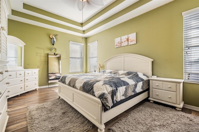 bedroom with a raised ceiling, multiple windows, ceiling fan, and dark hardwood / wood-style floors