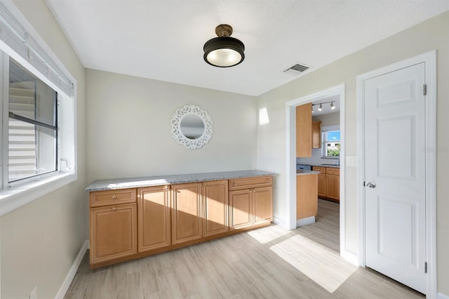 interior space with light wood-type flooring