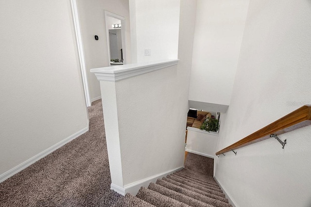 stairway featuring carpet flooring