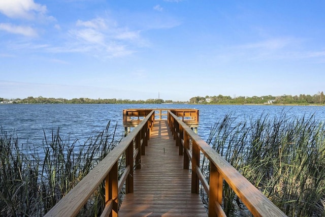 dock area with a water view