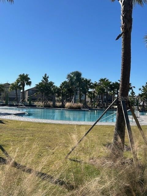 view of swimming pool featuring a lawn