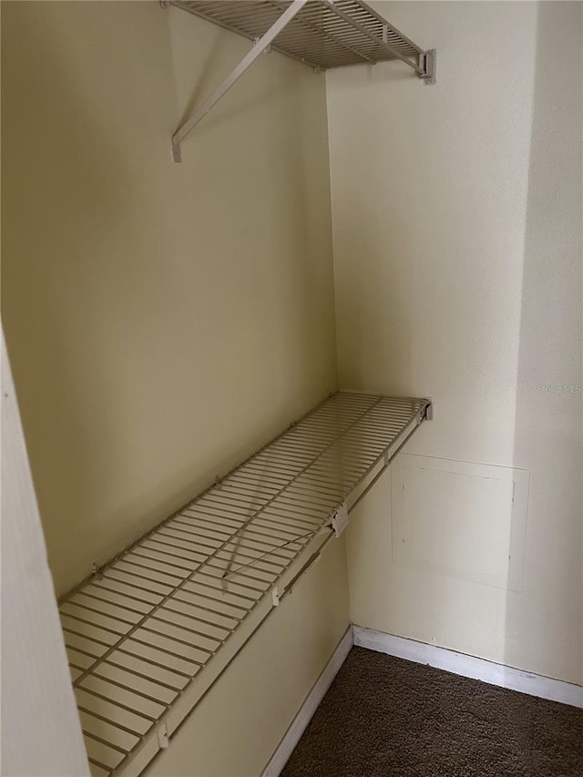 spacious closet featuring carpet flooring