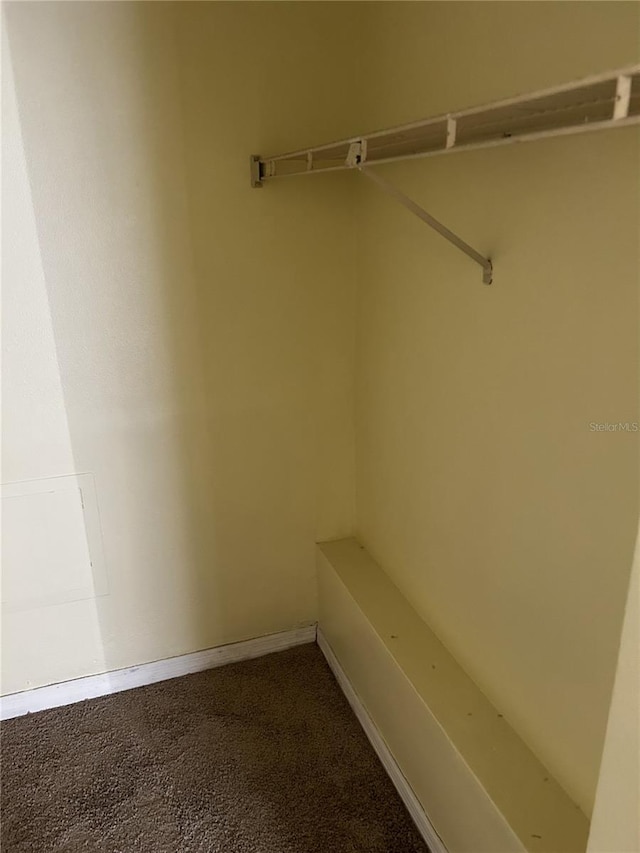 spacious closet with carpet