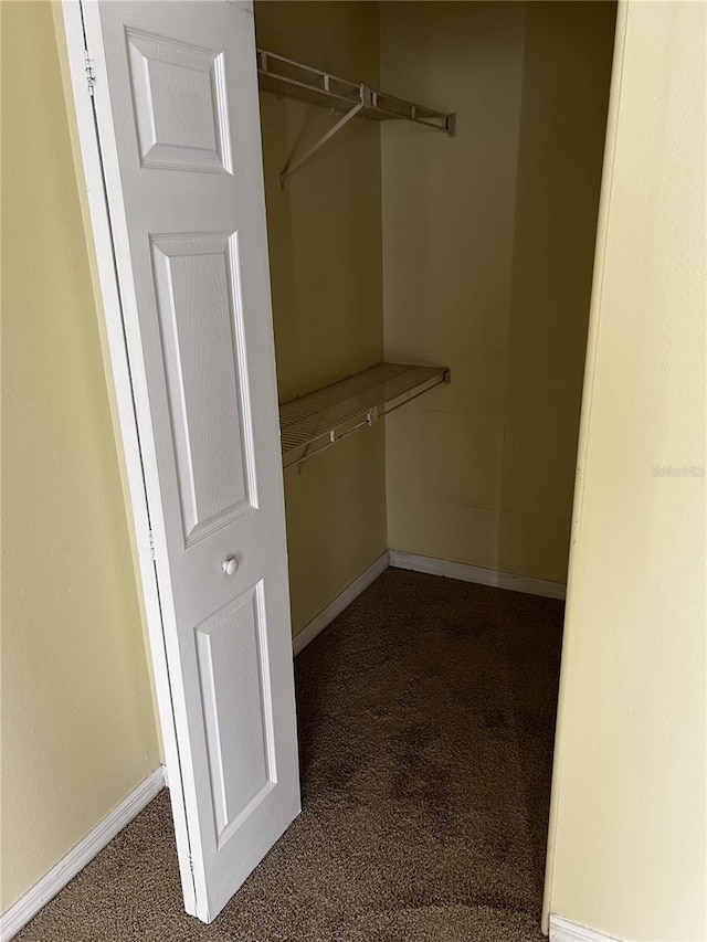 walk in closet with carpet flooring