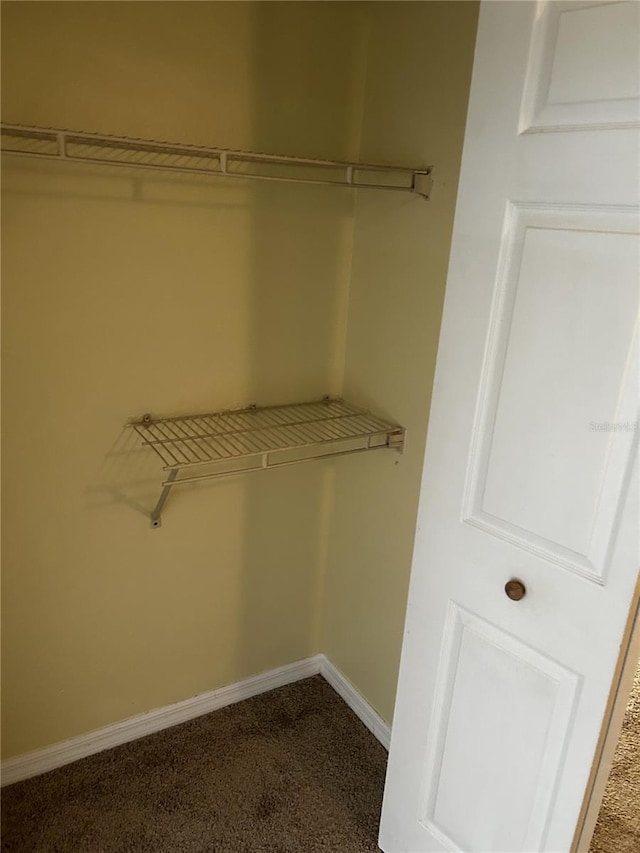 walk in closet featuring carpet floors