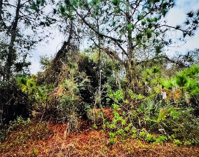 Fielding St, North Port, FL 34288