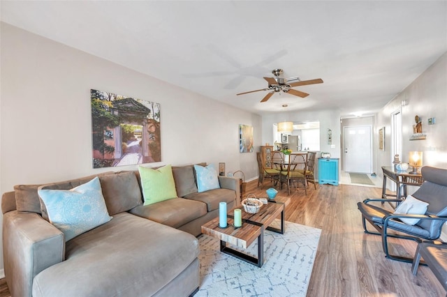 living room with ceiling fan and wood-type flooring