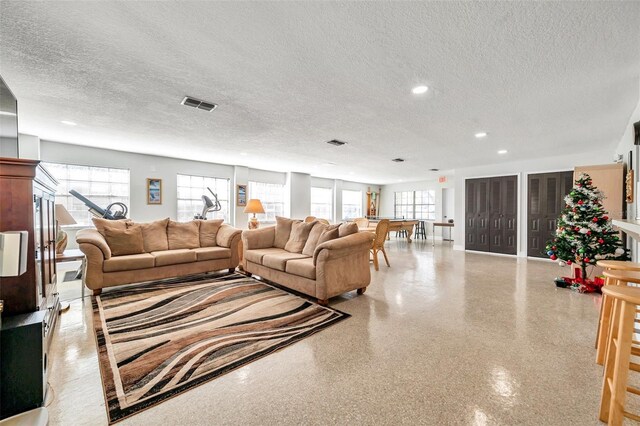 living room featuring a textured ceiling