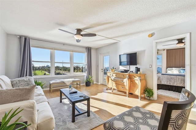 living room featuring ceiling fan, light hardwood / wood-style flooring, and a textured ceiling