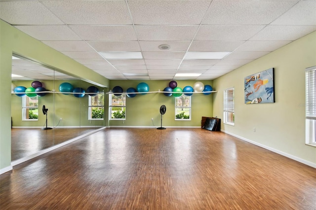 workout area featuring hardwood / wood-style flooring, a drop ceiling, and a healthy amount of sunlight