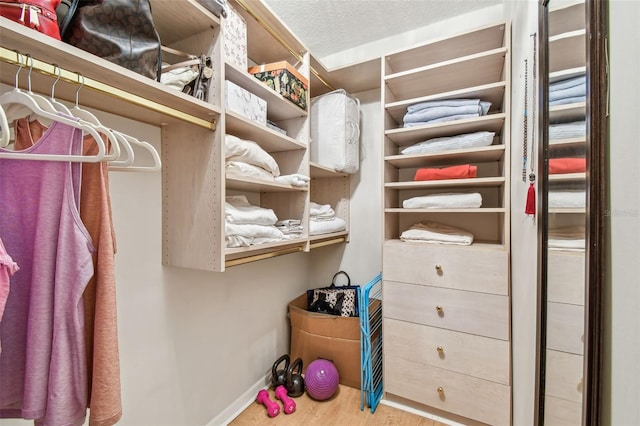 spacious closet with hardwood / wood-style flooring