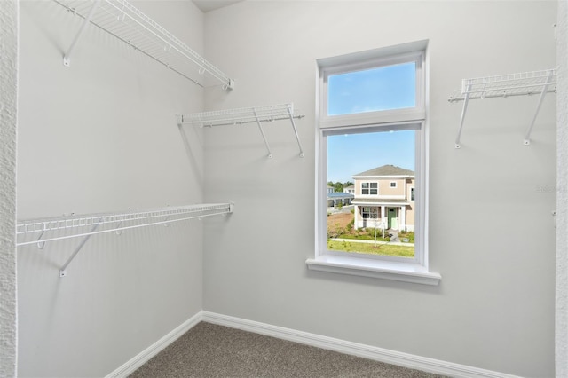 spacious closet with carpet floors