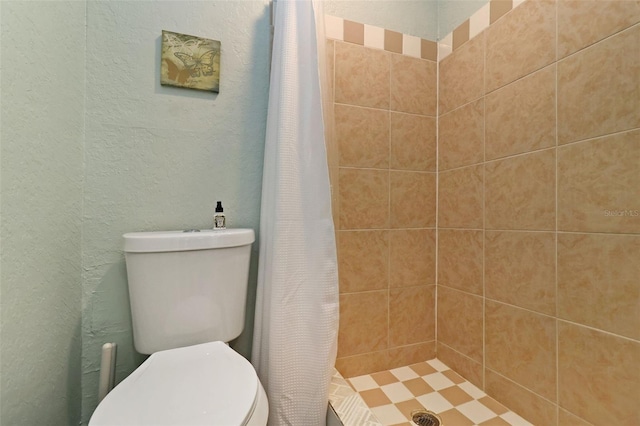 bathroom with a shower with curtain and toilet