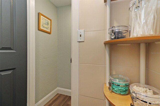 bathroom featuring hardwood / wood-style floors