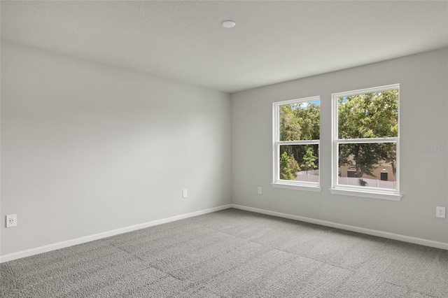 empty room featuring carpet floors