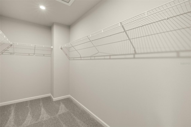 walk in closet featuring carpet flooring