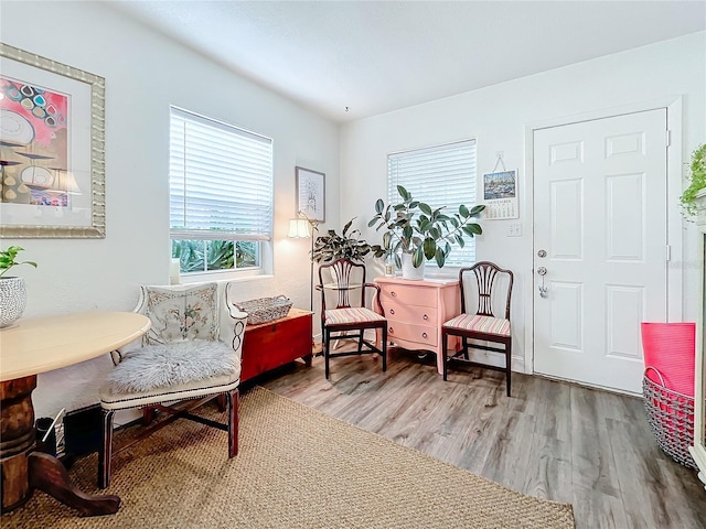 living area featuring hardwood / wood-style floors