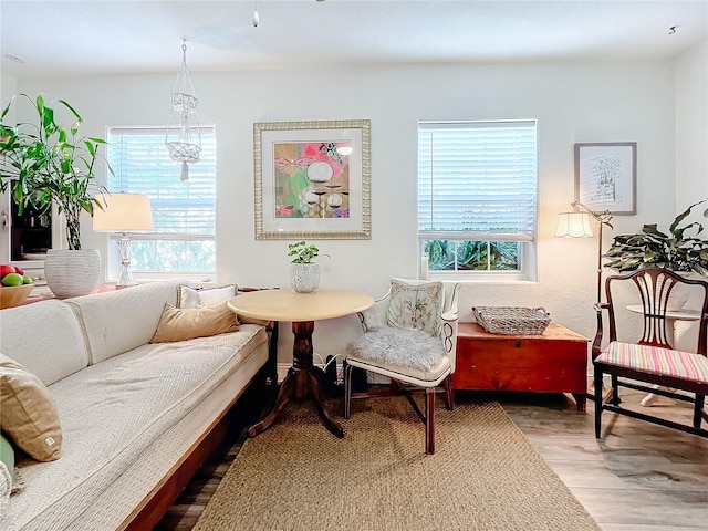 sitting room with hardwood / wood-style floors